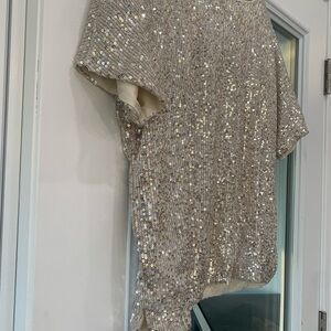 H&M Shimmering Silver Sequin Top
